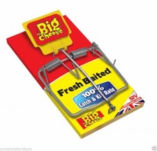 Big Cheese Mouse Rat