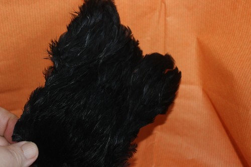 Fly tying dyed black - dyed, neck