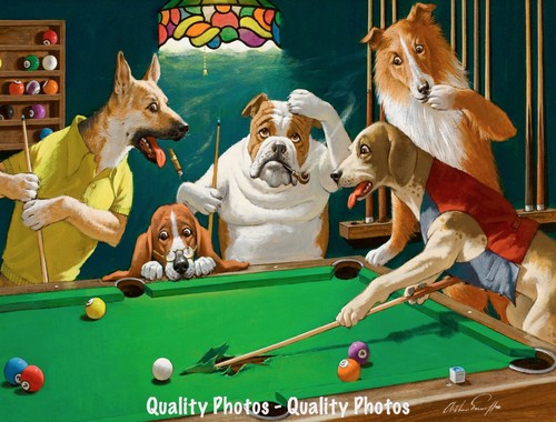 Dog playing pool tears - playing,