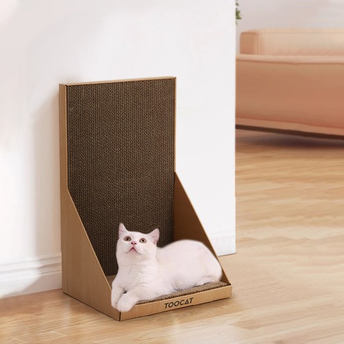 Cat kitten cardboard - kitten, sofa