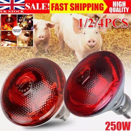 Infra red heat bulb lamp - 1-4x,
