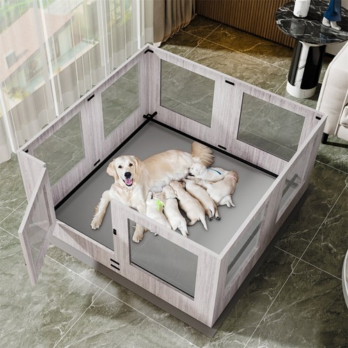 Large tempered glass - glass, pet