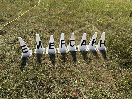 Pack dressage cones stable - 8,
