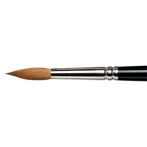 Winsor and newton series - and,