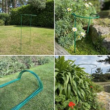 Plant Support Metal Hoops