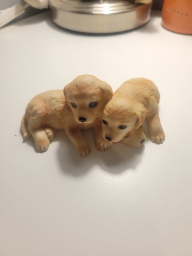 Royal osborne pair puppies - pair,