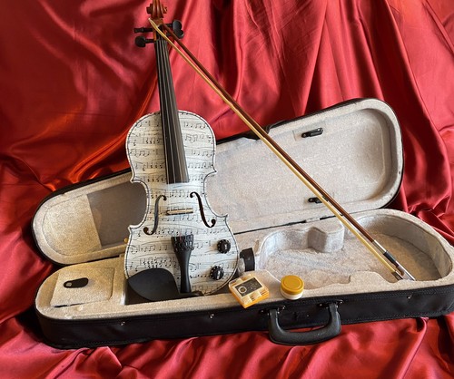 Electric acoustic violin - violin, full