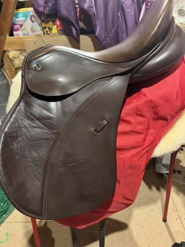Kieffer munchen med - 17.5, gp