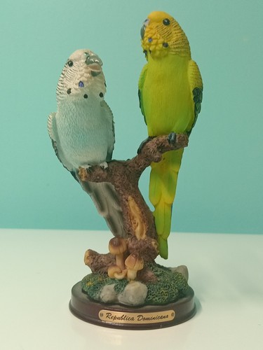 Pair parrots artistic - a,