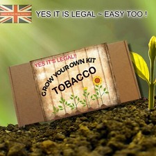 Grow your own Tobacco Kit - Amber Leaf