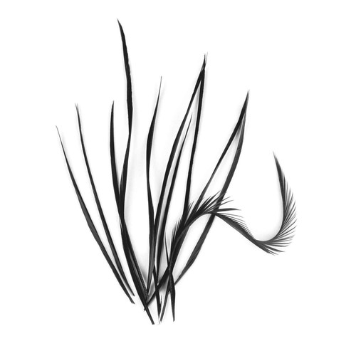 Spiky goose biot feathers 14cm - goose,