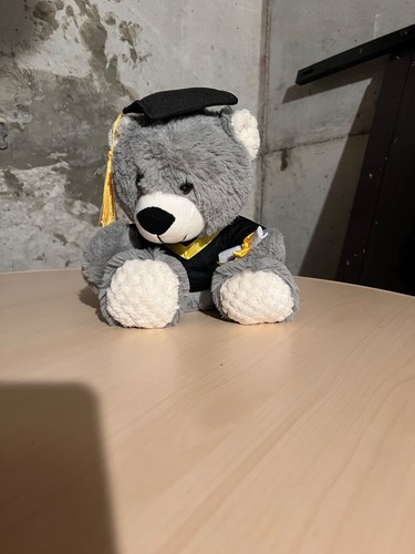 Graduation teddy bear - bear, 10”