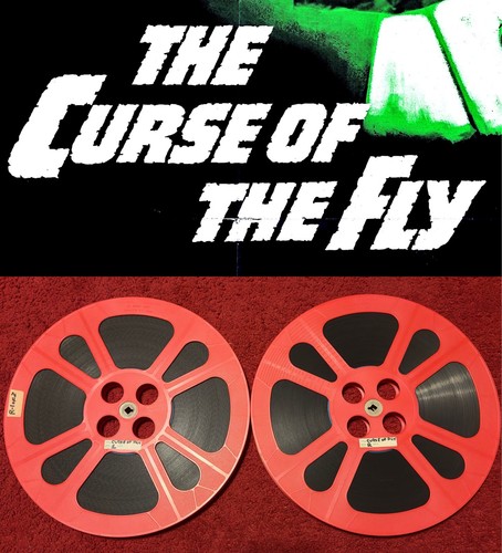 Curse the fly 16mm film - fly,