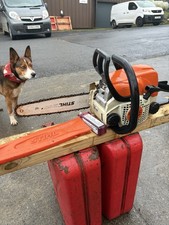 Stihl MS 170 12 "  home