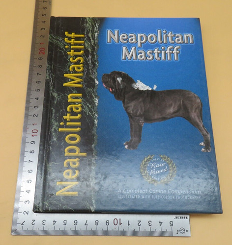 Neapolitan mastiff carol - neapolitan,
