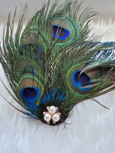 Peacock feather facinator - feather,
