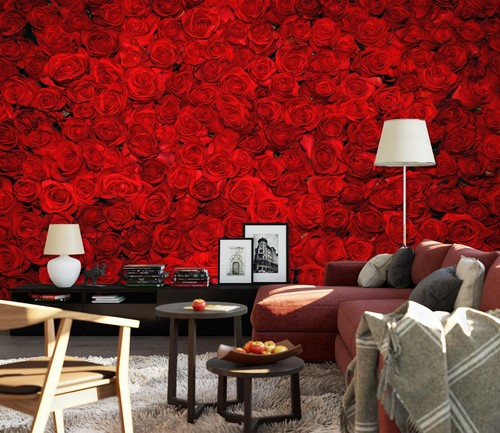 Red rose flower r9487 - flower,