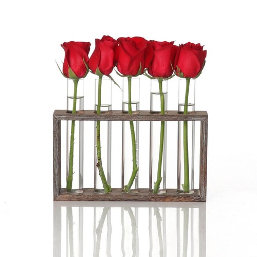 Glass test tube vase - test,