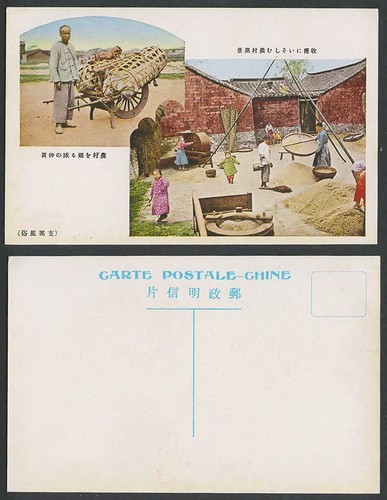 China old postcard - china, pigs