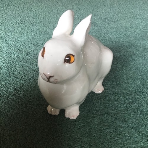 Winstanley lucky white - , rabbit