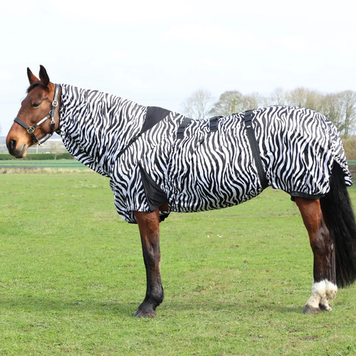 Stormx zebra sweet - itch,