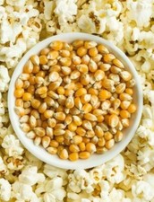 Popcorn Kernels 1kg 1.5kg 2kg