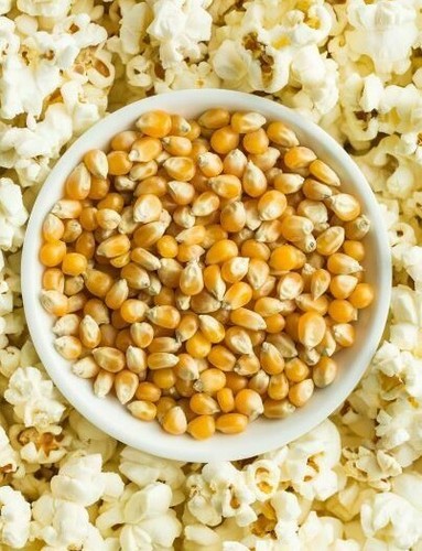 Popcorn kernels 1kg - popcorn,
