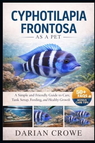Cyphotilapia frontosa a - cyphotilapia,