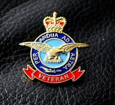 REMEMBRANCE RAF VETERAN enamel pin badge RAF