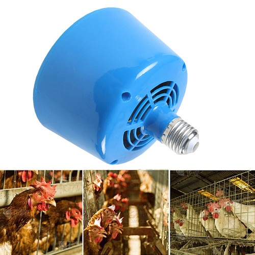 Heat lamp bulb poultry - heat,
