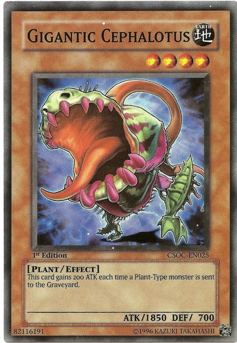 Gigantic cephalotus csoc en025 - gigantic, csoc-en025