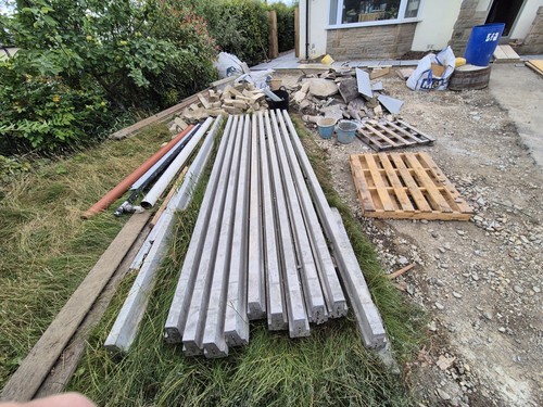 Brand new bison beams - brand,