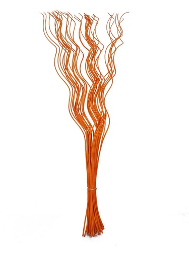 Spiral corkscrew curly willow - curly,