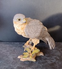SPARROW HAWK RESIN QUALITY BIRD HIGH 6" LONG 6"  GREAT CONDITION