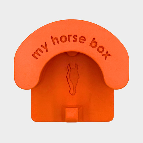 Magnetic bridle holder - holder, with