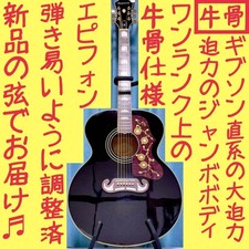 [Beef bone☆Gibson direct