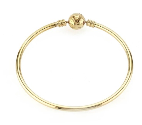 Pandora moments bangle charm - moments,