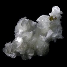 ★☆ Skardu MICROLITE - 4.5 cm - B12-17* ☆★