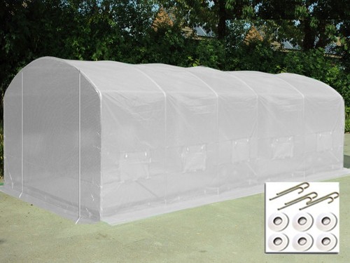 5m polytunnel - 3.5m,