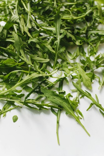 Rocket salad plug - salad, "grow