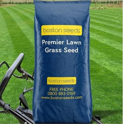 5kg boston seeds - boston,