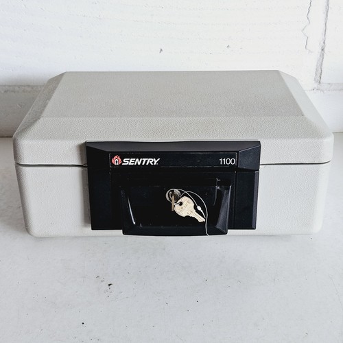 Sentry safe 1100 fire - sentry,