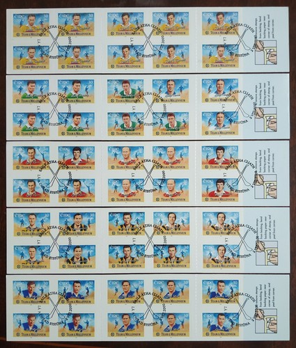 2000 gaa millennium hurling - gaa,