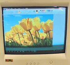 Research Machines RM CRT