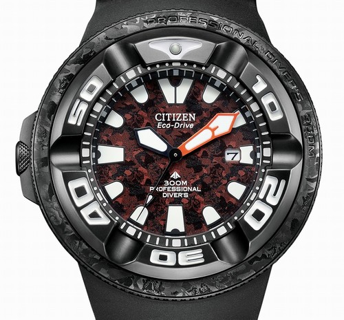 Limit citizen promaster - limit.,