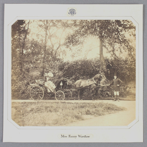 Albumen photograph c1860 - albumen,