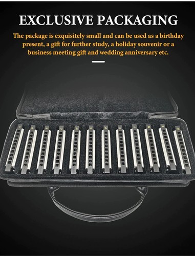 Easttop diatonic harmonica - diatonic,