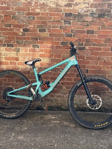 Santa cruz bronson - bronson, c