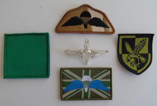 Parachute regiment cap badge - parachute,