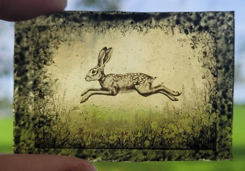Stained glass hare permanently - glass,